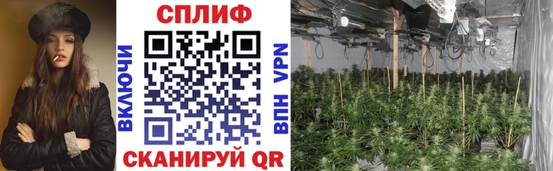 Купить Гашиш  Конопля  КОКАИН  Меф  Сорочинск