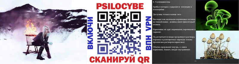 Псилоцибиновые грибы Cubensis  Купить  Сорочинск 