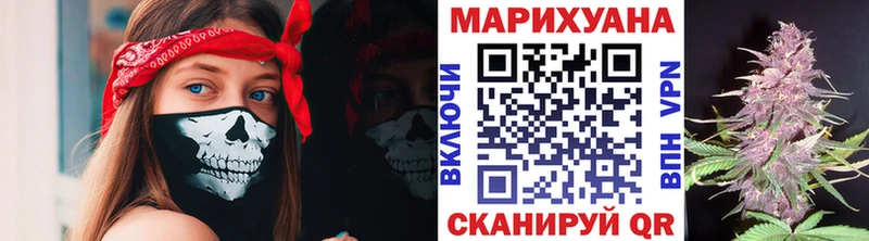 Купить  Сорочинск  Каннабис сатива 